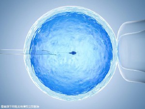 关于借卵代怀代生